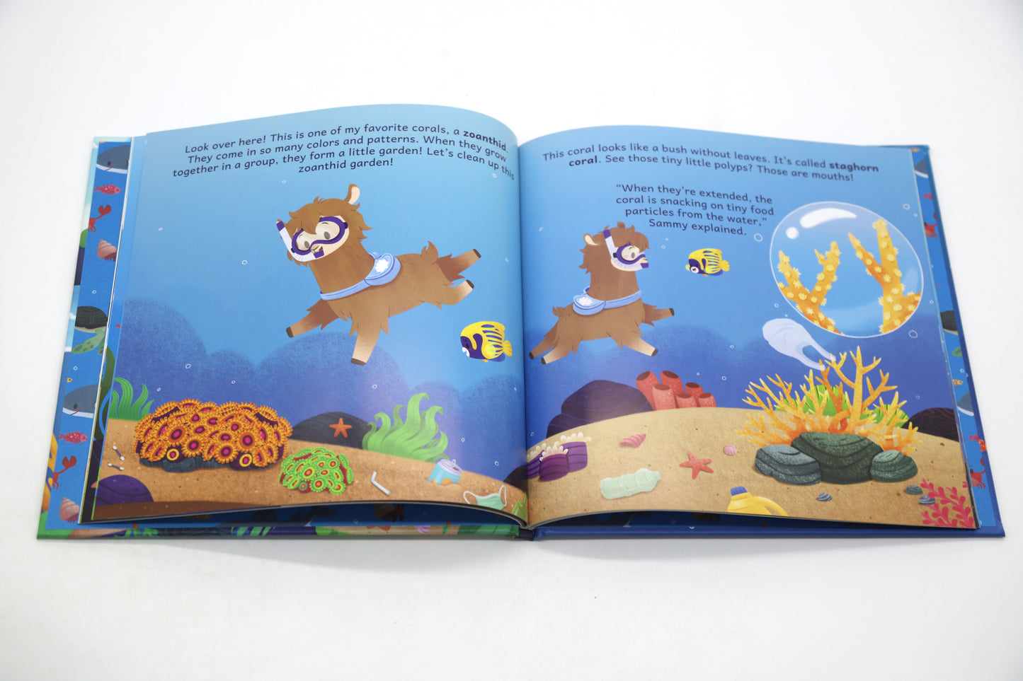 Duncan's Reef Rescue