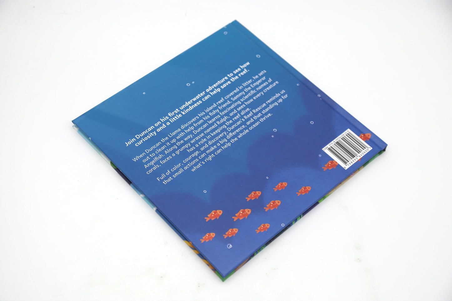 Duncan's Reef Rescue